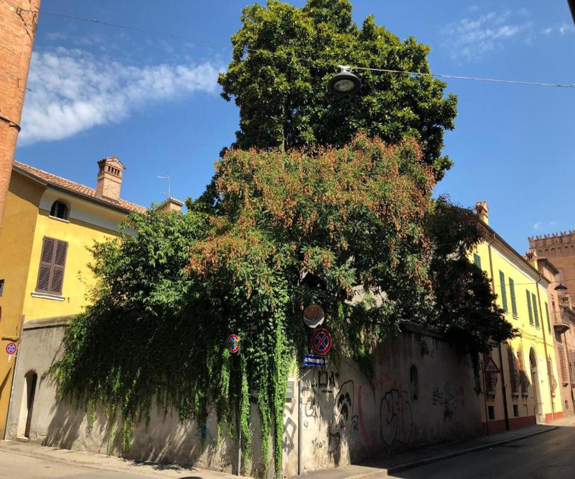 Апартаменты Il Giardino Segreto Феррара Экстерьер фото